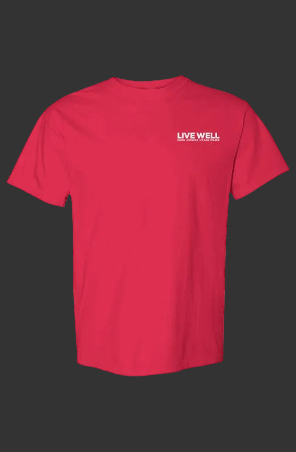Live Well Push Me Comfort Colors Heavyweight T Shirt