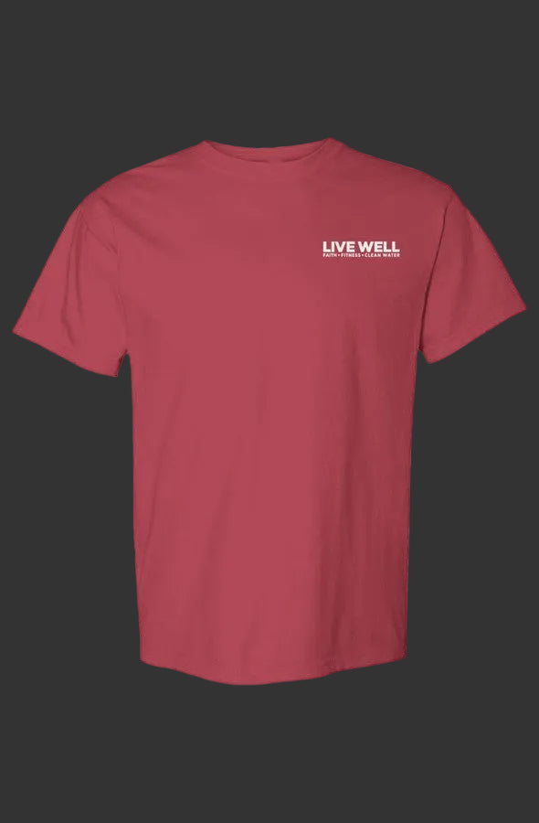 Live Well Push Me Comfort Colors Heavyweight T Shirt